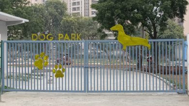 Photo of अच्छी खबरः देश का दूसरा डॉग पार्क नोएडा में है निर्माणाधीन