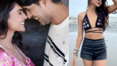 Photo of Ankit Gupta और priyanka Chahar के गाने का पहला लुक आया सामने