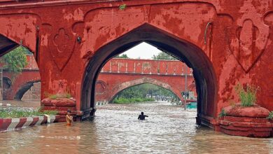 Photo of दिल्ली की बाढ़ के लिए यमुना को ही जिम्मेदार ठहराते ‘बेशर्म ‘ नेताओं जरा सुनो !