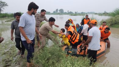 Photo of Noida Flood Affected Hindi News: बाढ़ के पानी में फंसे एक करोड़ की कीमत के सांड़ को एनडीआरएफ की टीम ने किया रेस्क्यू