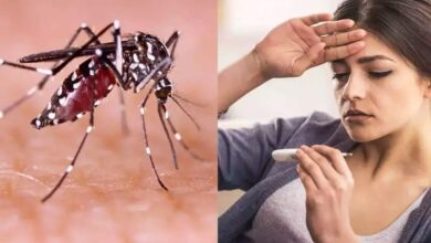 Photo of सावधान: डेंगू फिर पसार रहा अपने पैर… ये हैं लक्षण और बचाव