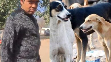 Photo of Greater Noida News : अब गौतमबुद्धनगर की खाकी मांग रही है कुत्तों से न्याय, जानिये बड़ी खबर