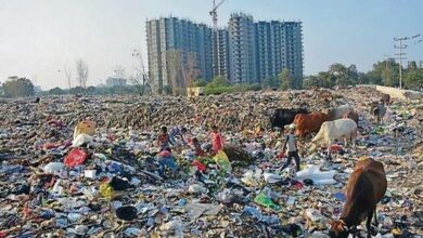 Photo of Greater Noida : ग्रेटर नोएडा कूड़े का निस्तारण न करने पर दो संस्थाओं पर लगा जुर्माना, कठोर कार्रवाई की दी गई चेतावनी