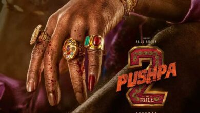 Photo of ‘पुष्पा 2’ का एक नया पोस्टर किया शेयर….इस तारीख को होगी फिल्म रिलीज
