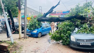 Photo of बारिश ने खोल दी नोएडा, ग्रेटर नोएडा के विकास की पोल, कहीं पेड़ गिरे, कहीं घर, जलभराव और ट्रैफिक जान बना जी का जंजाल