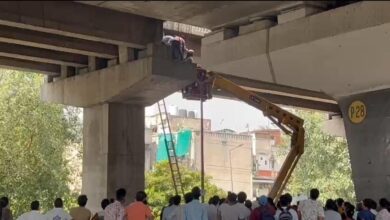 Photo of करिश्मे से कम नहीं हादसा : युवती  एलिवेटेड रोड से उछलकर गिरी, पिलर पर अटकी और मौत को दे दी मात