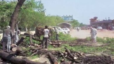 Photo of पेड़ काटने पर सुप्रीम कोर्ट की फटकार, DDA पर लगा जुर्माना !