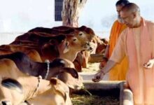 Photo of योगी सरकार की नई पहल: अब पुलिस रूट में शामिल होंगे गो आश्रय स्थल