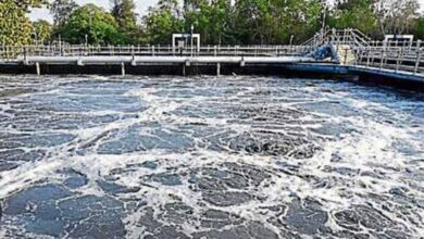 Photo of ग्रेटर नोएडा में एसटीपी कीचड़ से बनेगी खाद, IIT दिल्ली बना रहा प्लान
