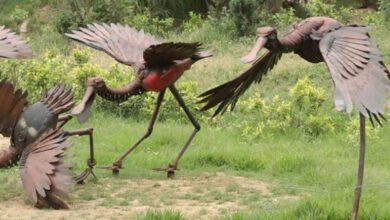 Photo of कबाड़ से कला: ग्रेटर नोएडा में शुरू होगा ‘अद्भुत भारत पार्क’ का निर्माण