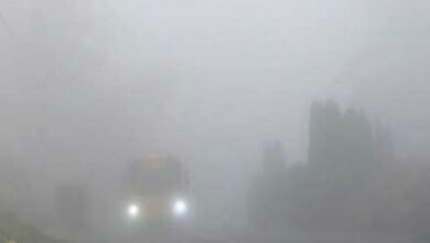 Photo of Noida: कोहरा की दस्तक के बीच प्रशासन ने जारी की एडवाइजरी, दी गई ये जरूरी सलाह