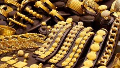 Photo of Noida: खुदाई में मिले सोने और चांदी के आभूषण, एनआरआई को लगा दिया लाखों का चूना