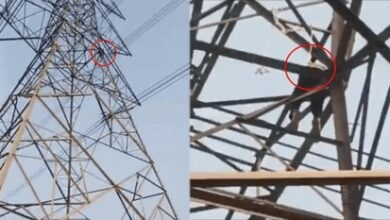 Photo of Greater Noida: ‘बसंती’ के लिए ‘वीरू’ बना युवक हाईटेंशन लाइन पर चढ़ा, युवती के पिता के समझाने पर माना