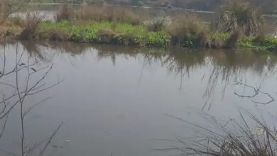 Photo of Greater Noida: मंदिर के पास गहरे गड्ढे में डूबने से तीन साल के बच्चे की मौत, मामा के घर आया था मासूम