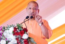 Photo of UP: गो हत्यारों पर योगी एक्शन, 35 हजार भेजे गए जेल, एनएसए की गई बड़ी कार्रवाई