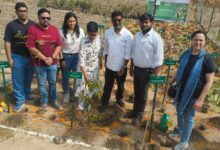 Photo of Greater Noida: कंक्रीट के जंगल में प्राधिकरण विकसित करेगा मियावाकी पद्धति से वन क्षेत्र, मिलेगी स्वच्छ हवा