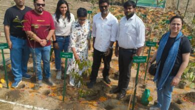 Photo of Greater Noida: कंक्रीट के जंगल में प्राधिकरण विकसित करेगा मियावाकी पद्धति से वन क्षेत्र, मिलेगी स्वच्छ हवा