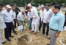 Photo of Noida: ‘आने वाली पीढ़ी को स्वच्छ पर्यावरण देना सभी की जिम्मेदारी’, लगाए गए सवा लाख पौधे, प्राधिकरण का बड़ा ऐलान