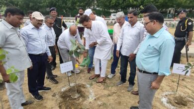 Photo of Noida: ‘आने वाली पीढ़ी को स्वच्छ पर्यावरण देना सभी की जिम्मेदारी’, लगाए गए सवा लाख पौधे, प्राधिकरण का बड़ा ऐलान