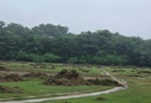 Photo of Noida: जिस हॉकी स्टेडियम की विधायक ने की मांग…विरोध में उतरे खिलाड़ी, प्राधिकरण पर करेंगे प्रदर्शन, पुलिस ने की अभद्रता
