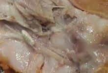 Photo of Noida: ग्रेनो वेस्ट के गौड़ सिटी मॉल स्थित KFC से लिए चिकन मील में मिला मरा हुआ कीड़ा, वीडियो वायरल होने पर उठे सवाल