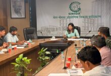 Photo of Noida: दिवाली से पहले जगमग होगा शहर, एंट्री गेट और गोलचक्कर पर लग जाएंगी लाइटें